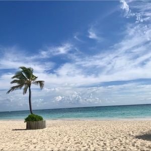 Meet your Posher, Jancy